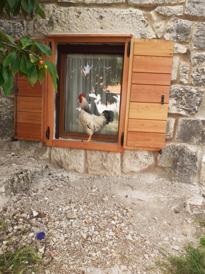 Patakun Holiday Home For 5, With Heated Pool Lecevica Exterior photo