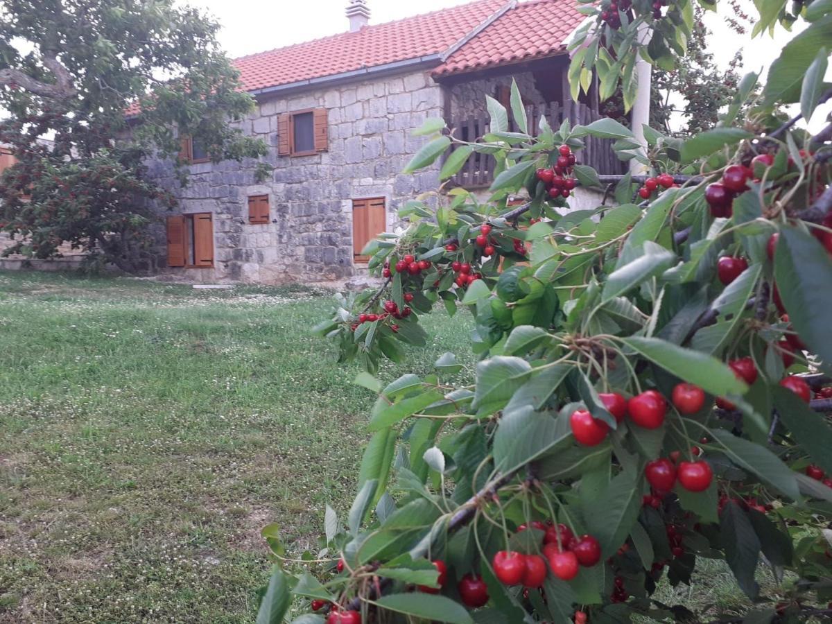 Patakun Holiday Home For 5, With Heated Pool Lecevica Exterior photo